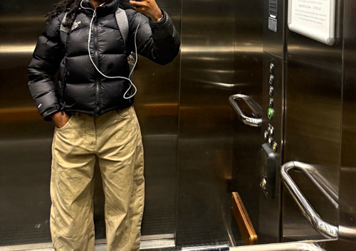 North face nuptse - north,