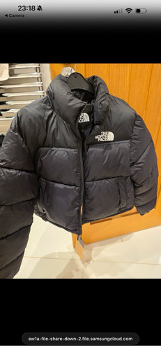 The north face nuptse 700 - north,