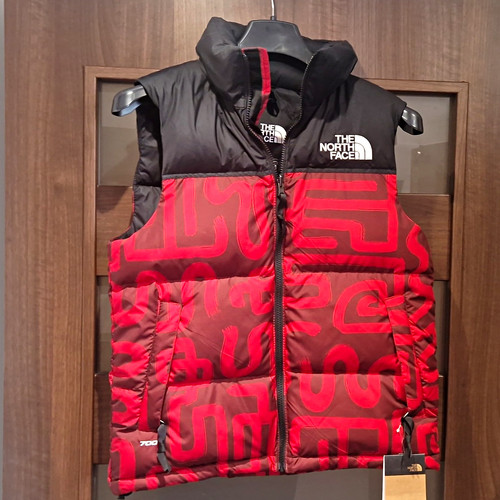 The north face 1996 retro - the,