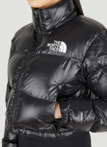 The north face - the,